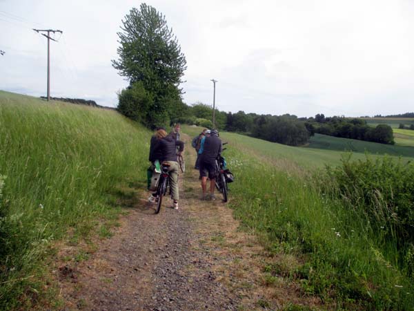 Bahntrasse bei Wenig-Umstadt. D. Diehl