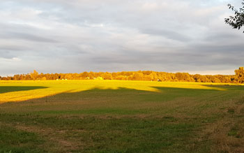 Abendsonne am Wingertsberg (Klöppinger)