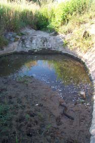 Fischsterben am L�nderbach.