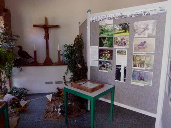 Diorama und Bilder Natur 1267 (D. Diehl)