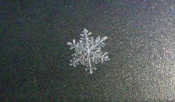 Schneekristall (Dirk Diehl)