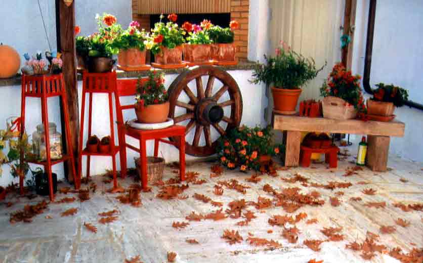 Herbstliche Terrasse (Bild: Sch�fer)