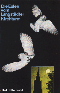 Seite einer Bildver�ffentlichung von Otto Diehl